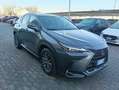 Lexus NX 200t NX II 2022 450h+ 2.5 phev Premium 4wd 309cv e-cvt Grijs - thumbnail 17