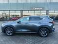 Lexus NX 200t NX II 2022 450h+ 2.5 phev Premium 4wd 309cv e-cvt Grijs - thumbnail 5