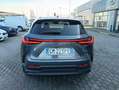 Lexus NX 200t NX II 2022 450h+ 2.5 phev Premium 4wd 309cv e-cvt Grijs - thumbnail 15