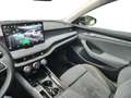 Skoda Superb Selection TDI DSG Schwarz - thumbnail 16