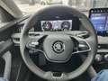 Skoda Superb Selection TDI DSG Schwarz - thumbnail 9