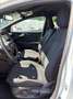 Ford Puma 1.0 ecoboost h ST-Line125cv Bianco - thumbnail 8