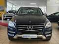 Mercedes-Benz ML 500 BE *PANO*COMAND*Bi XENON*ABC*KAMERA*ST.HZ Bleu - thumbnail 5