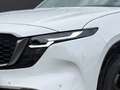 Mazda CX-5 2.5L e-Skyactiv G 141ps 6AT 2WD HOMURA TLOP Weiß - thumbnail 5
