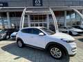 Hyundai TUCSON Tucson II 1.7 crdi Comfort 2wd 115cv Bianco - thumbnail 1