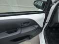 Citroen C1 Feel Weiß - thumbnail 10