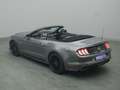 Ford Mustang GT Cabrio V8 449PS Aut./Premium Paket 2 Grigio - thumbnail 19