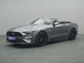 Ford Mustang GT Cabrio V8 449PS Aut./Premium Paket 2 Grigio - thumbnail 2