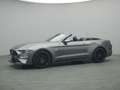 Ford Mustang GT Cabrio V8 449PS Aut./Premium Paket 2 Grigio - thumbnail 27