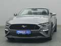 Ford Mustang GT Cabrio V8 449PS Aut./Premium Paket 2 Grigio - thumbnail 48
