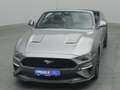 Ford Mustang GT Cabrio V8 449PS Aut./Premium Paket 2 Grigio - thumbnail 49