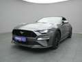 Ford Mustang GT Cabrio V8 449PS Aut./Premium Paket 2 Grigio - thumbnail 23