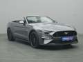 Ford Mustang GT Cabrio V8 449PS Aut./Premium Paket 2 Grigio - thumbnail 24