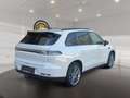 Leapmotor C10 C10 Elektro  800V Allrad 81,9kWh Design ProMax Design ProMax Grau - thumbnail 3