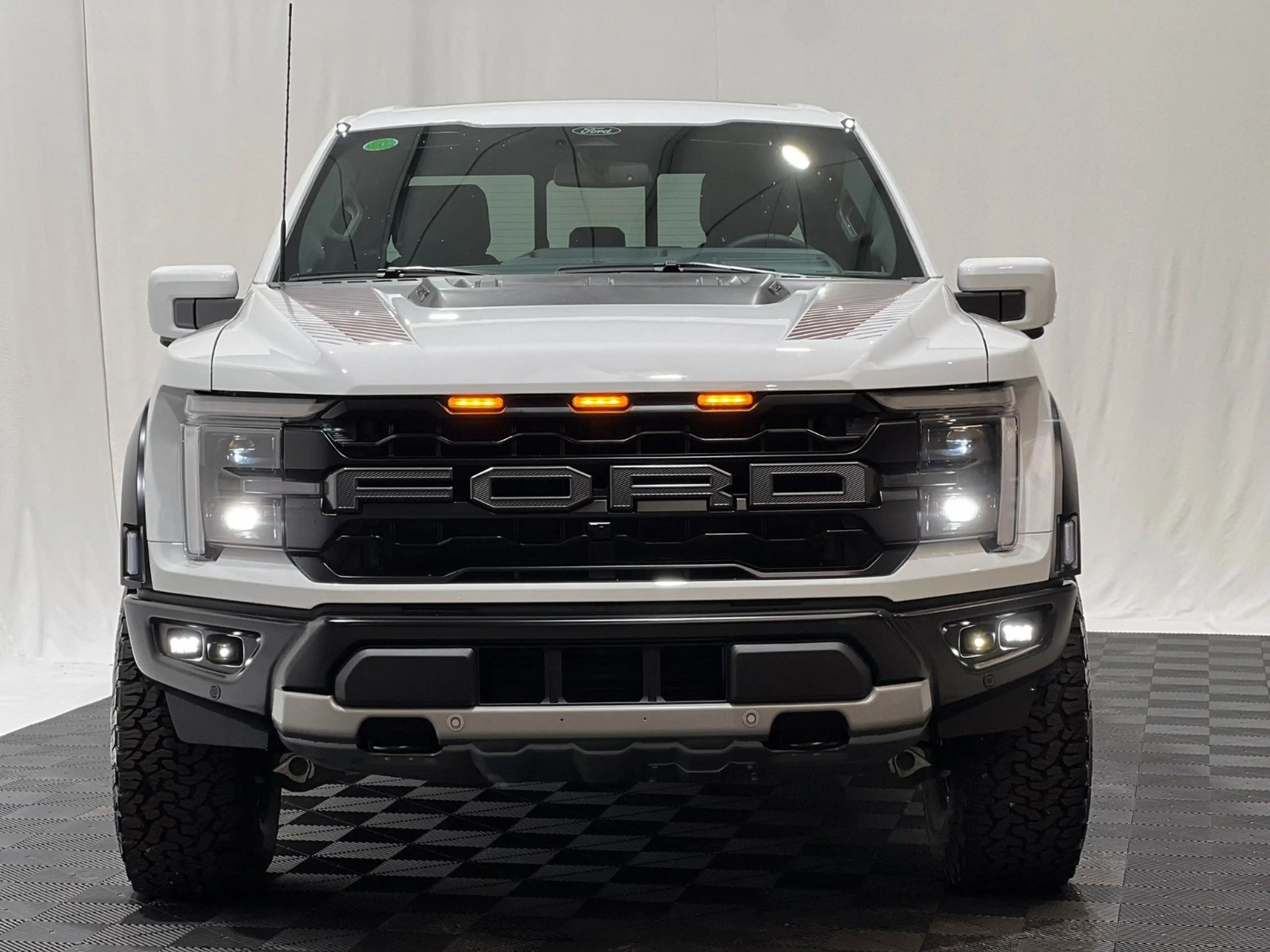 Ford F 150 F-150 RAPTOR  EcoBoost®  3.5L V6 *MY25* — photo 2