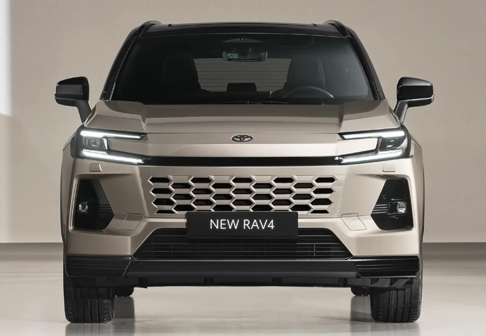 Toyota RAV 4 2.5 hybrid 4WD Luxury Azul - 2
