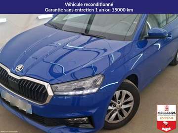 TSI 110 DSG7 Ambition