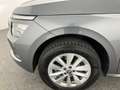 Skoda Kamiq Selection TSI DSG Grau - thumbnail 11