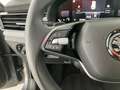 Skoda Kamiq Selection TSI DSG Grau - thumbnail 16