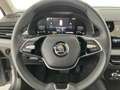 Skoda Kamiq Selection TSI DSG Grau - thumbnail 15