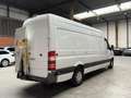 Mercedes-Benz Sprinter 316 CDI L4 / Right steer, UK / NO EU DOCS / BRIDGE Blanc - thumbnail 7