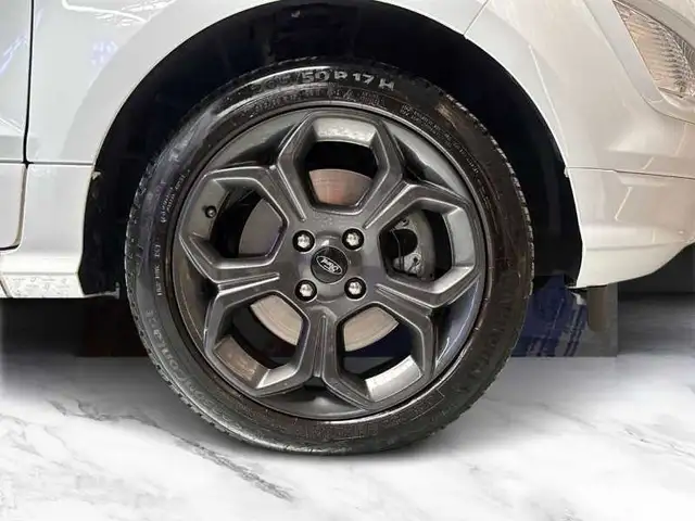 Ford Ecosport view 8