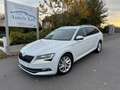 Skoda Superb Superb Combi 1.6 TDI DSG/carplay/memory stoelen/.. Wit - thumbnail 1