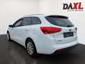 Kia Ceed SW / cee'd SW cee'd SW 1,4 CRDi Titan Weiß - thumbnail 7