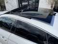 Audi A5 Sportback A5 35 2.0 TFSI Sportback S line Camera P Blanco - thumbnail 12