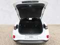 Ford Puma Titanium,2-Z Klima,PPv+h,ACC Tempomat,Wi-Pk Blanc - thumbnail 5