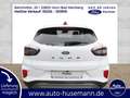 Ford Puma Titanium,2-Z Klima,PPv+h,ACC Tempomat,Wi-Pk Blanc - thumbnail 4