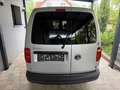 Trucks-Lkw VW VW Caddy Maxi / 2.0 / 1. Besitz / Sortimo Regal Grau - thumbnail 5