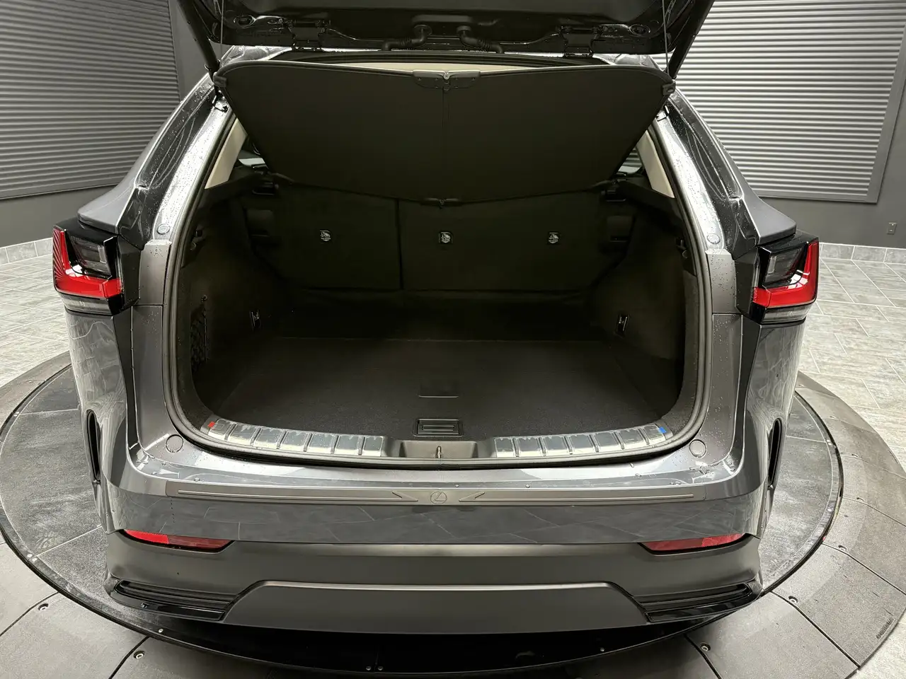 Lexus NX снимка Lexus NX