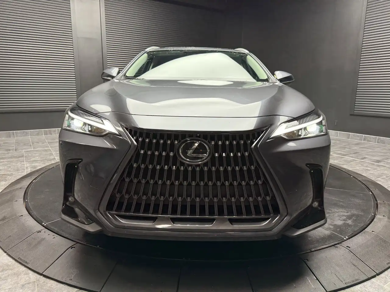 Lexus NX снимка Lexus NX