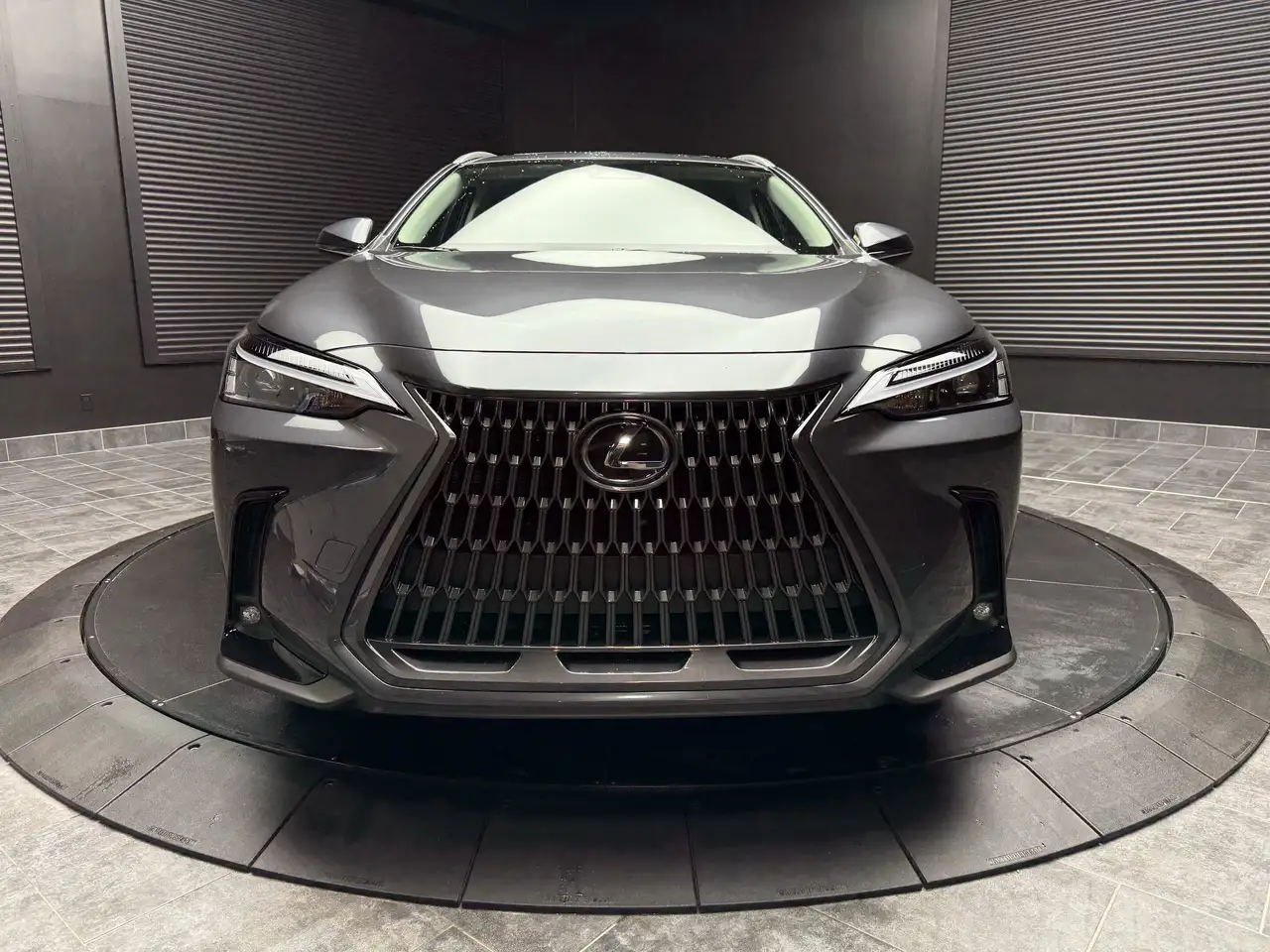Lexus NX снимка Lexus NX