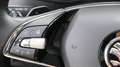 Skoda Karoq Ambition Blau - thumbnail 10