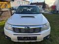 Subaru Forester KEIN Rost/NO rust!!! - thumbnail 8