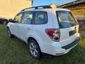Subaru Forester KEIN Rost/NO rust!!! - thumbnail 5