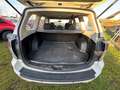 Subaru Forester KEIN Rost/NO rust!!! - thumbnail 27