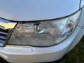 Subaru Forester KEIN Rost/NO rust!!! - thumbnail 9