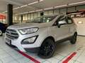 Ford EcoSport 1.0 ecoboost Business s Zilver - thumbnail 1