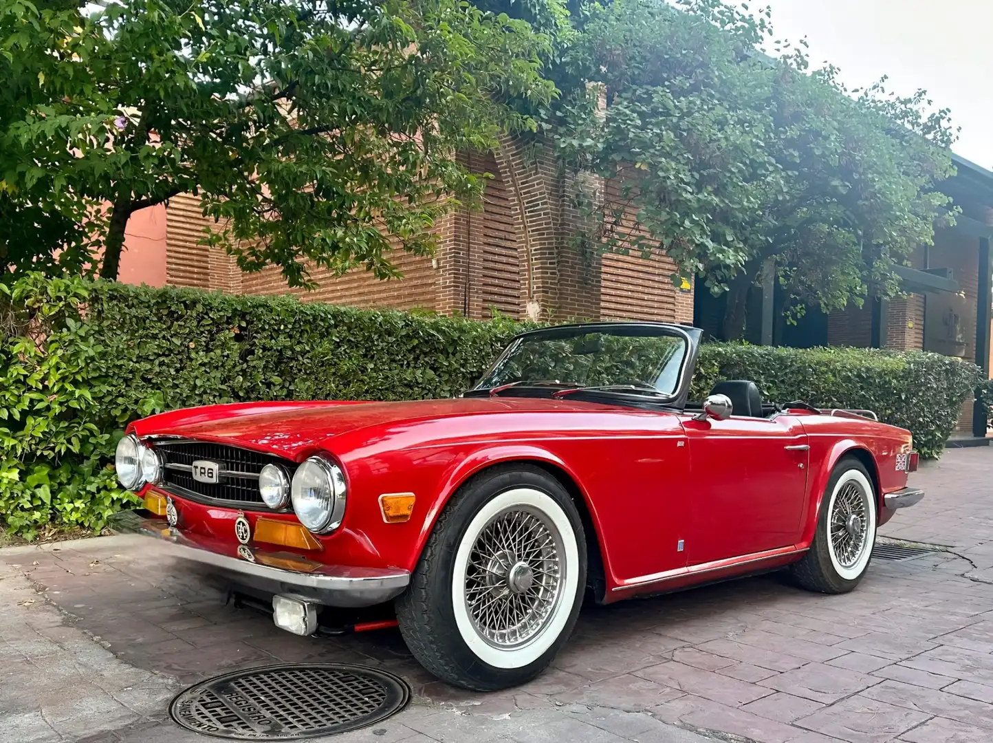 Triumph TR6 - 1