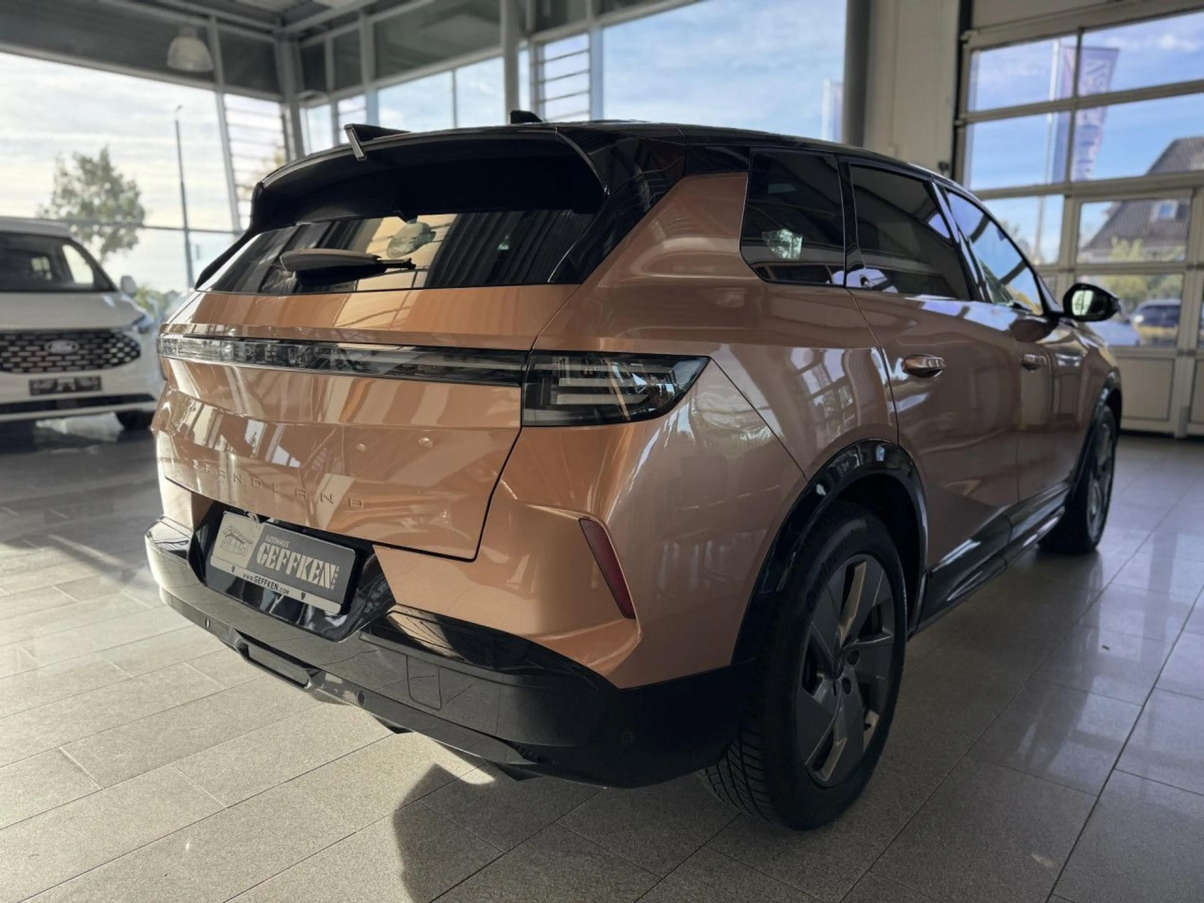 Opel Grandland Electric 73kWh GS, Pano, 360°, ACC! LED — photo 7