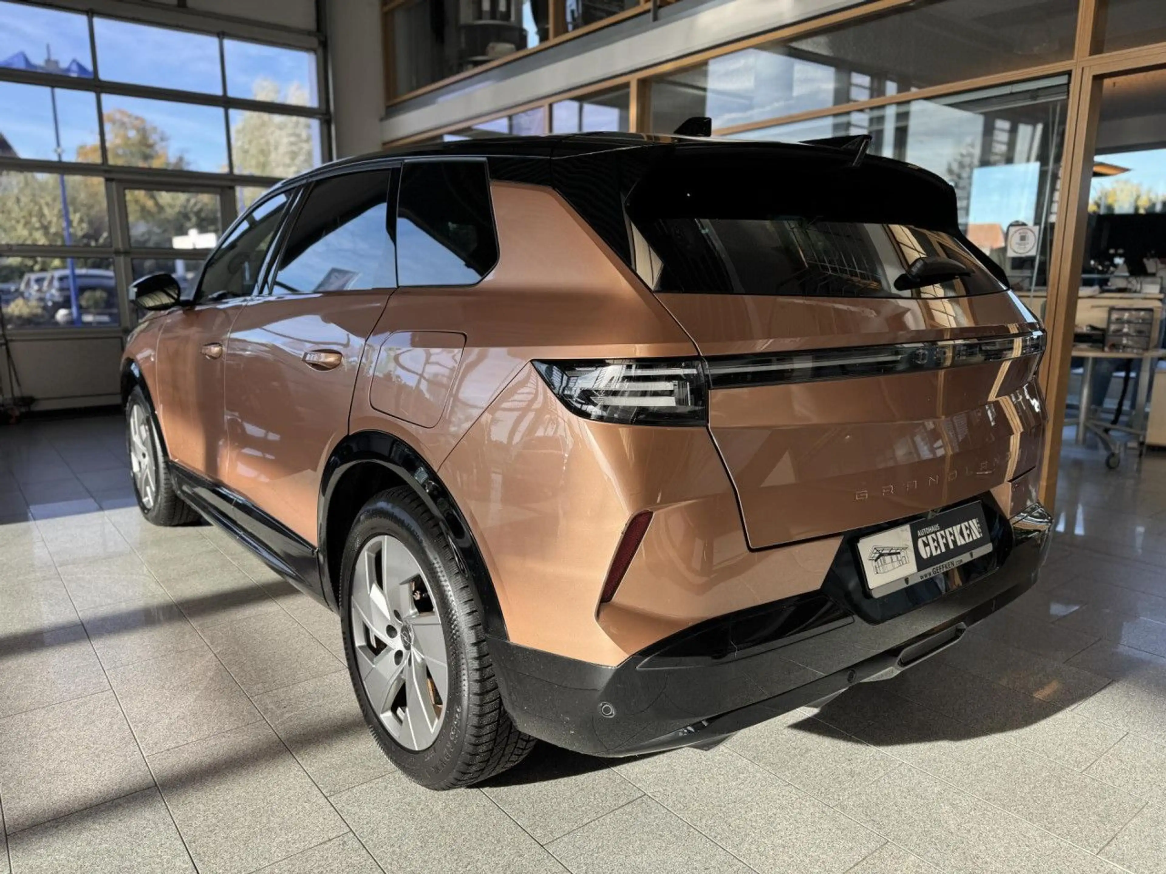 Opel Grandland Electric 73kWh GS, Pano, 360°, ACC! LED — photo 5