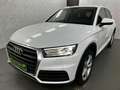 Audi Q5 40 TDI quattro+Xenon+Temp+Kamera+Keyless-Go Blanc - thumbnail 1