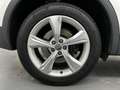 Audi Q5 40 TDI quattro+Xenon+Temp+Kamera+Keyless-Go Blanc - thumbnail 36