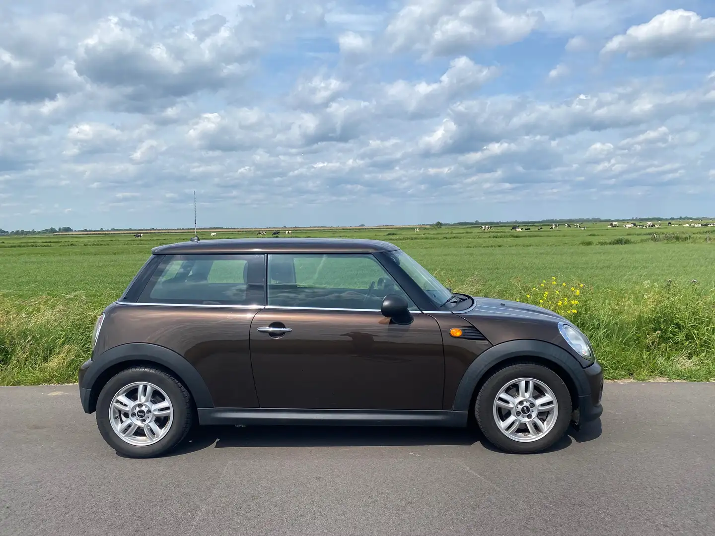 MINI One One 1.6 Bns Line Brown - 2