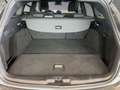 Ford Focus ST-Line leichter Hagelschaden Sportpaket LED Grau - thumbnail 14