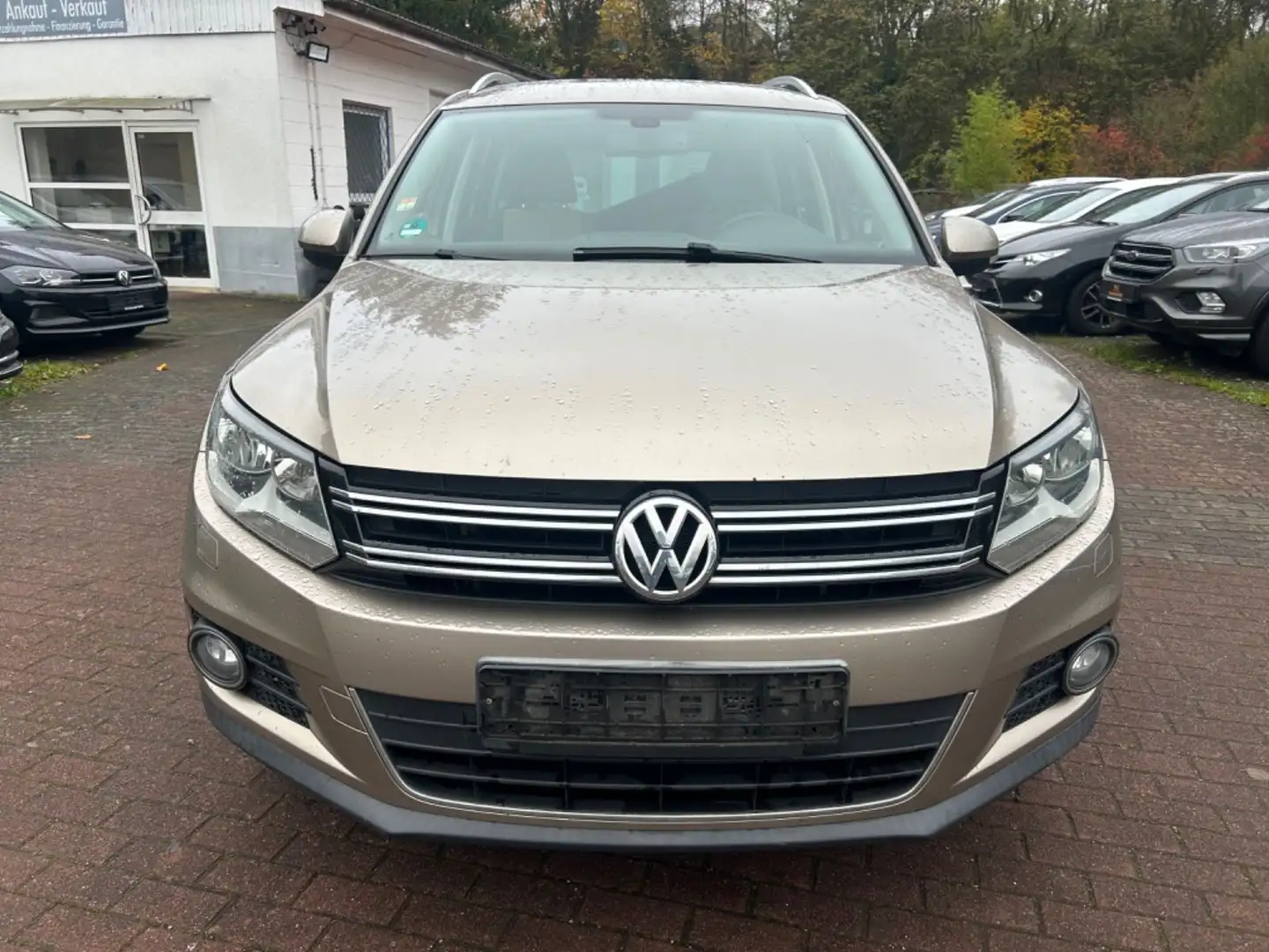 Volkswagen Tiguan Sport&Style BMT *1.Hand*Alcantara*SHZ* Beige - 2