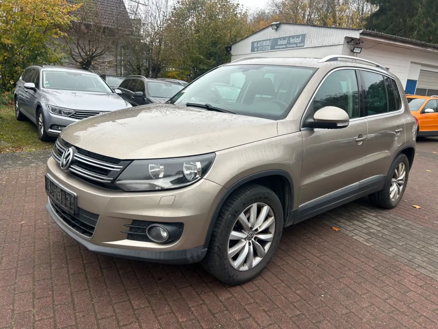 Volkswagen Tiguan Sport&Style BMT *1.Hand*Alcantara*SHZ* Beige - 1